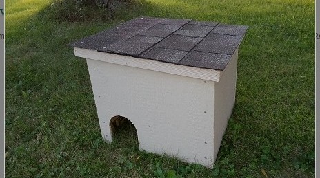 Outdoor Cat Shelter