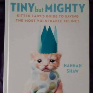 Kitten lady tiny but hot sale mighty