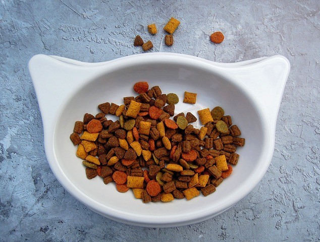 A White Cat Shaped Bowl of Dry Cat Food