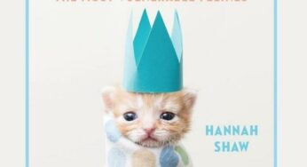 Got Kittens? Tiny But Mighty Book is an AMAZING Resource!