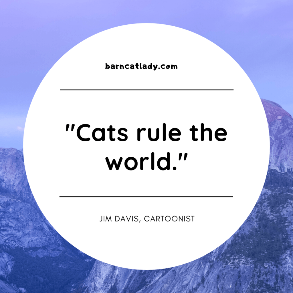 Cats rule the world graphic