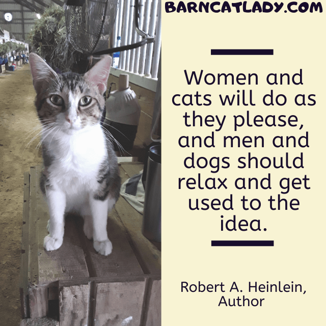 9 Funny Cat Quotes And Sayings The Barn Cat Lady