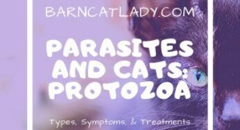 Parasites and Cats: Protozoa