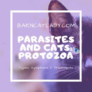 Parasites and Cats: Protozoa