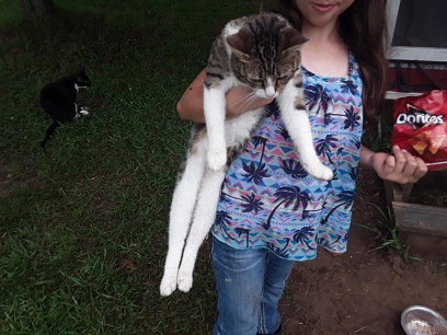 Tabby cat Stubby being held by a girl.