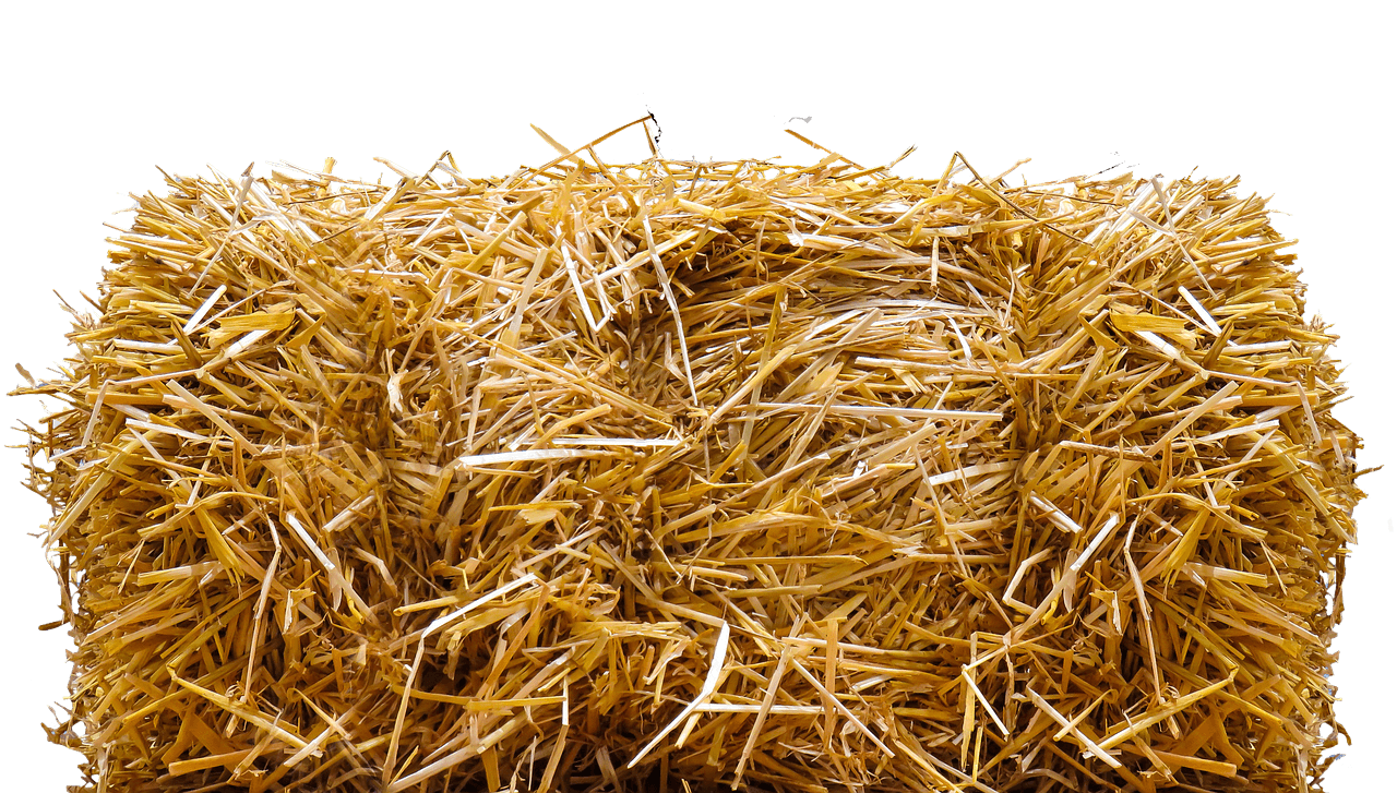 Straw bale for cat shelters.