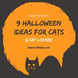 Halloween Ideas for Cats & Cat Lovers