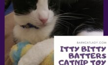 Itty Bitty Batters Catnip Toy Review