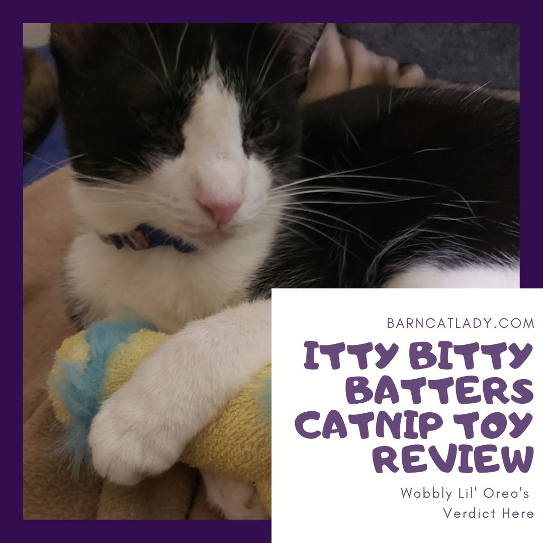 Itty Bitty Batters Catnip Toy Review Graphic